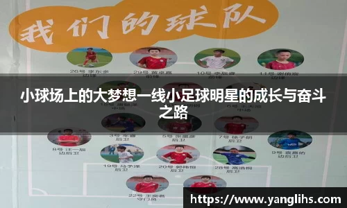 小球场上的大梦想一线小足球明星的成长与奋斗之路